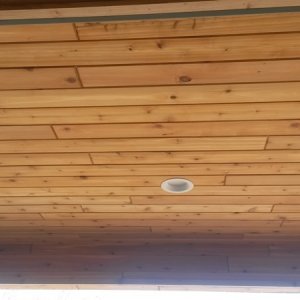 Cambridge in Cresco, porch ceiling